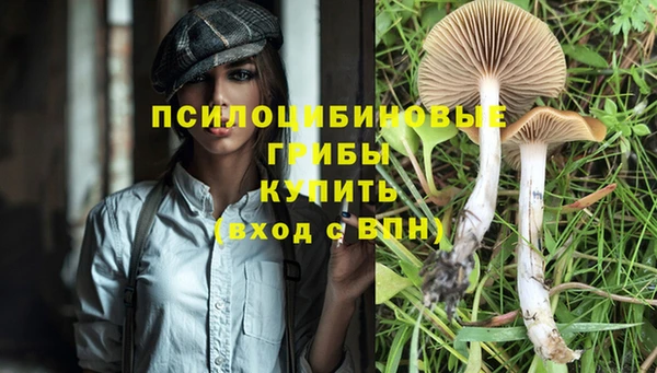 амф Алексин